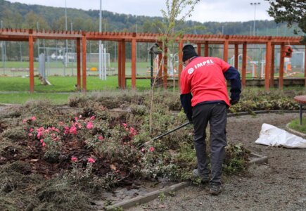 Ołdrzychowice Kłodzkie: sprzątanie szkoły podstawowej